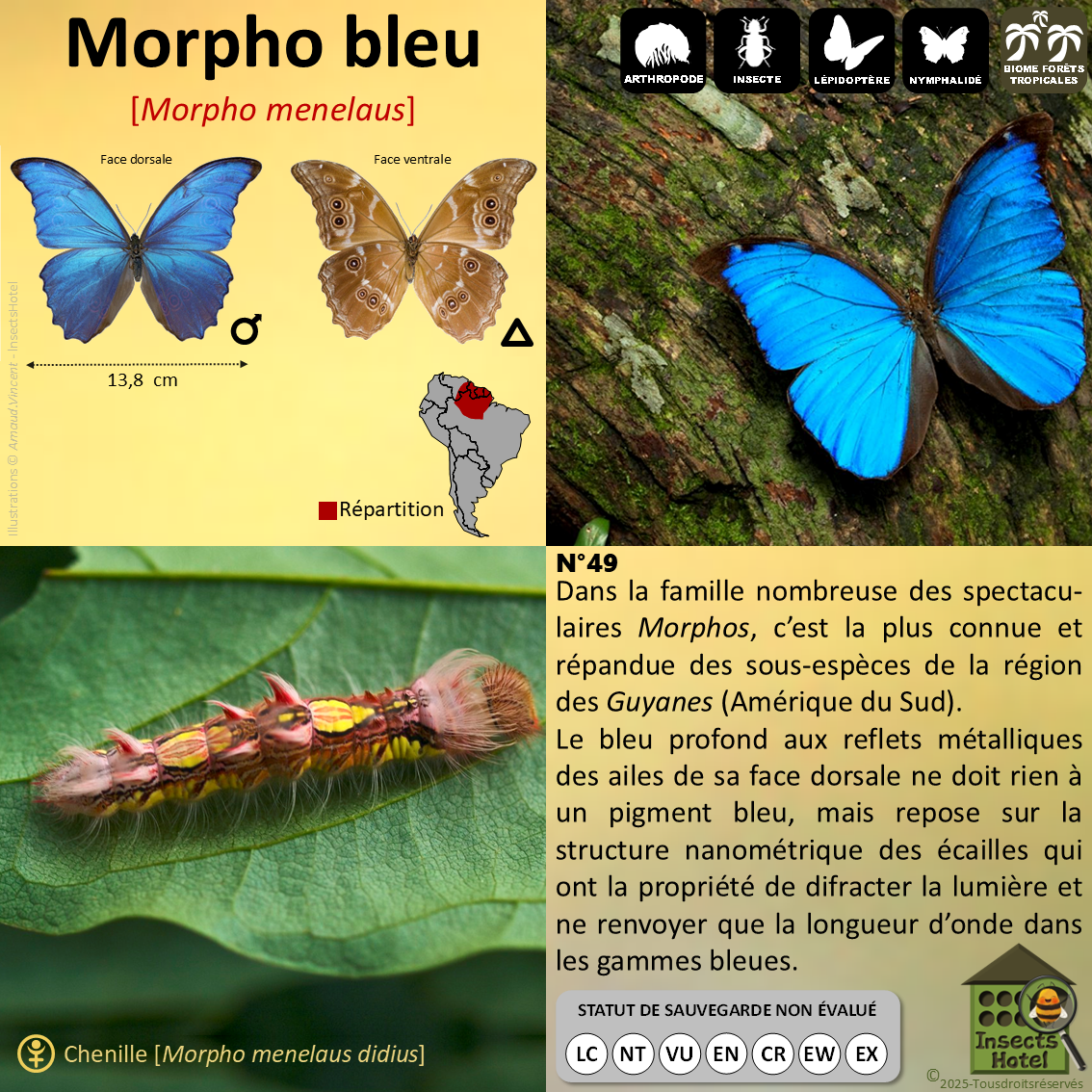 product_image_427138