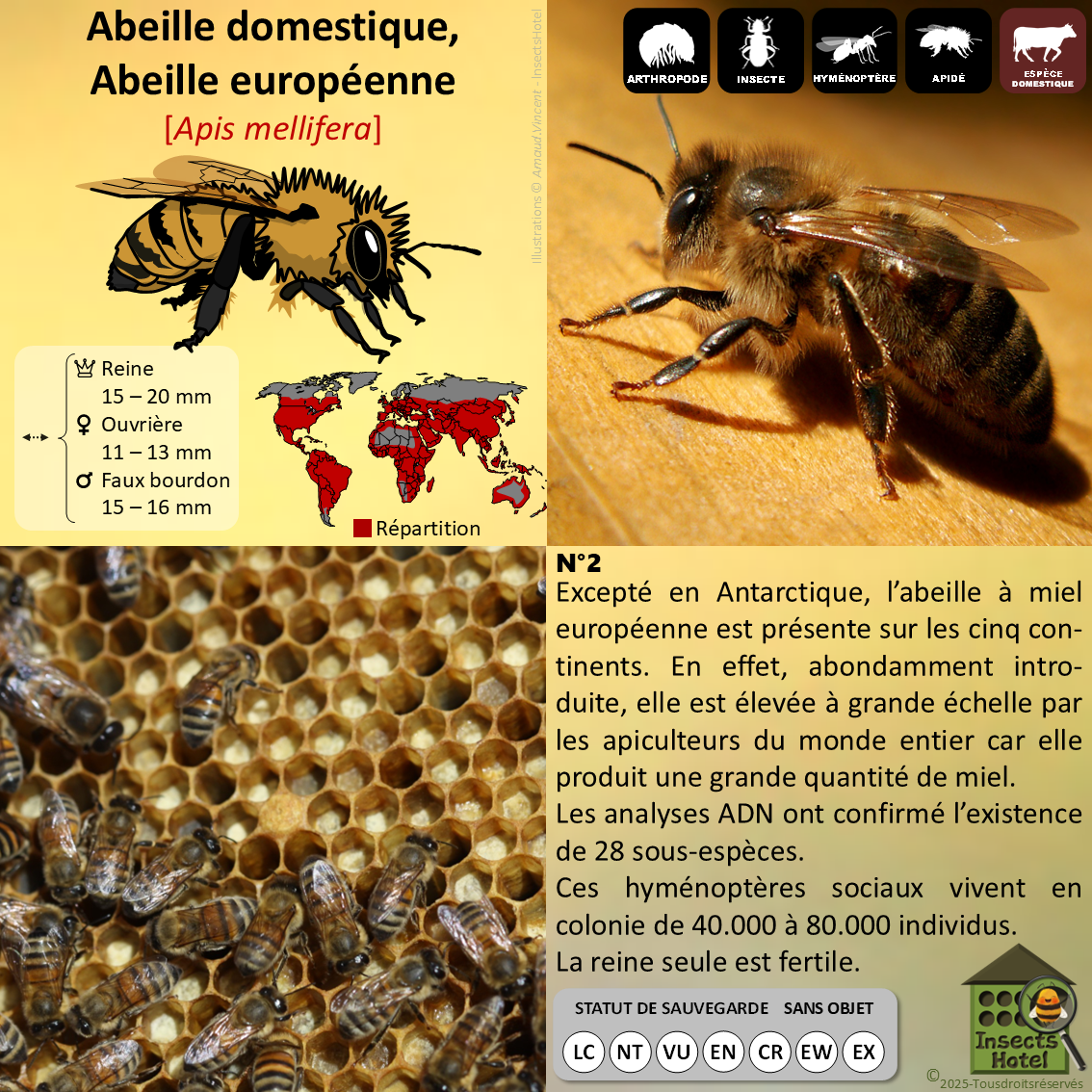 product_image_908320