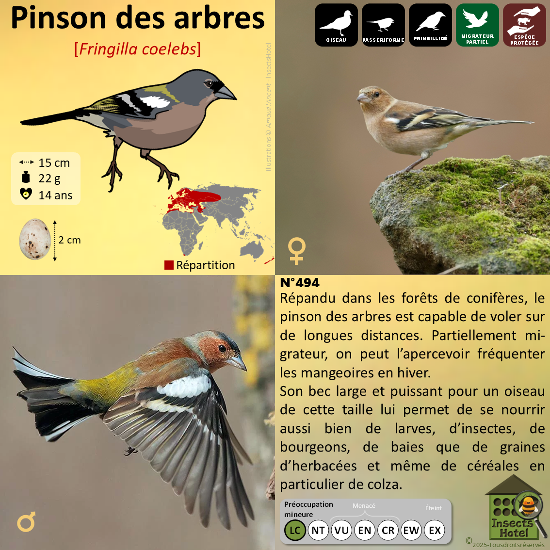 product_image_235254