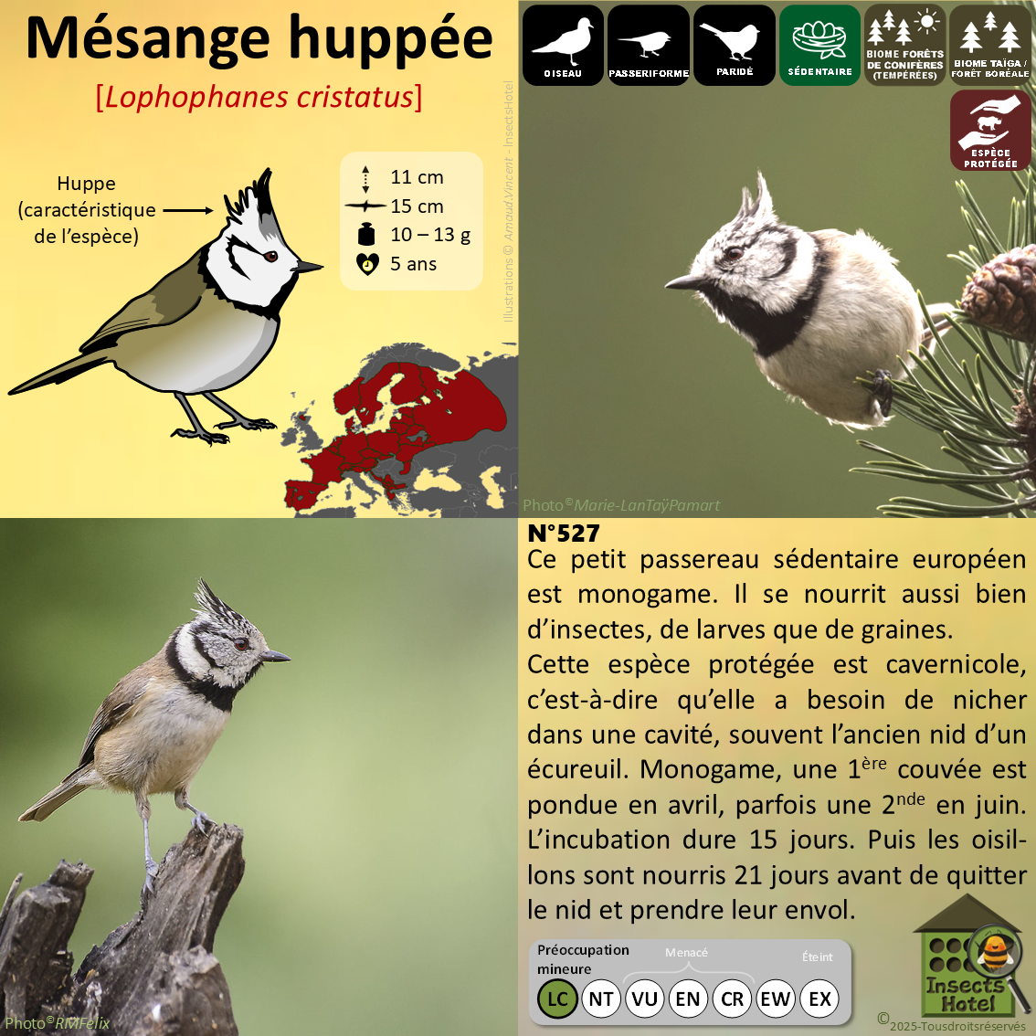 product_image_211985