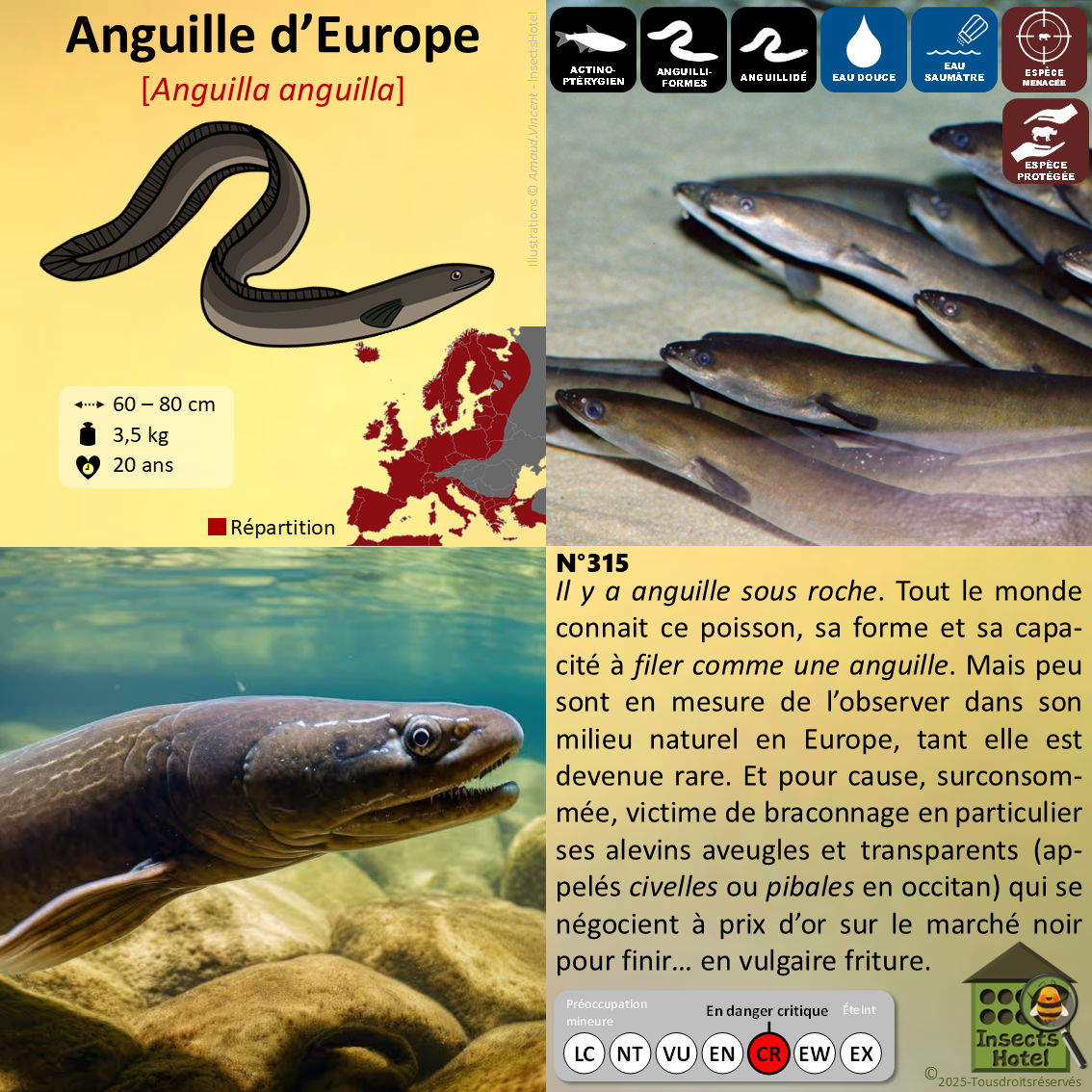 product_image_923451