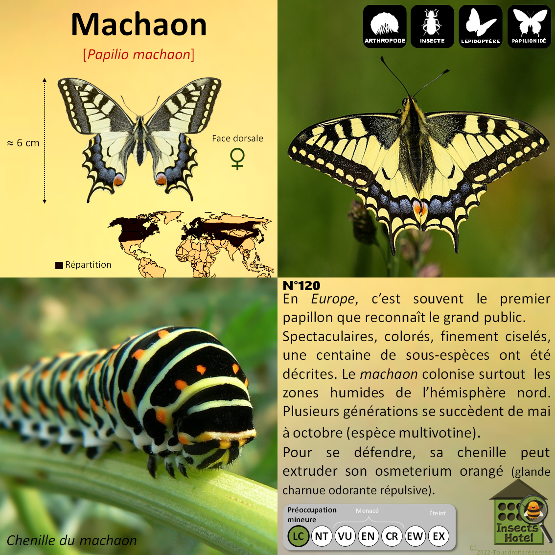 product_image_949881