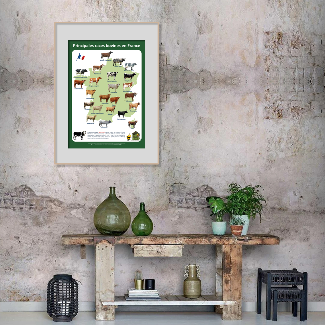 product_image_458032