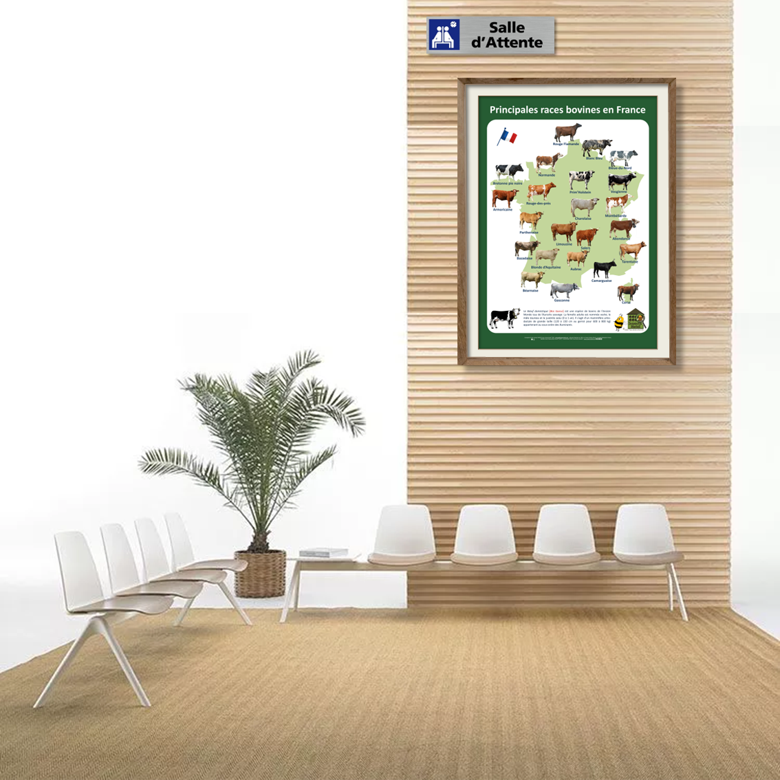 product_image_706511