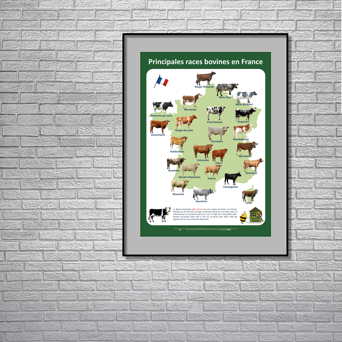 product_image_308591