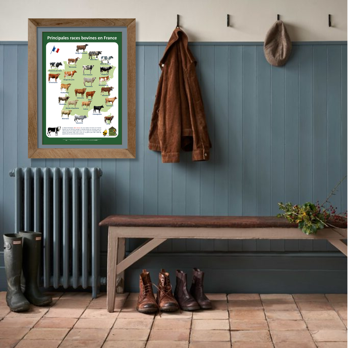 product_image_806433