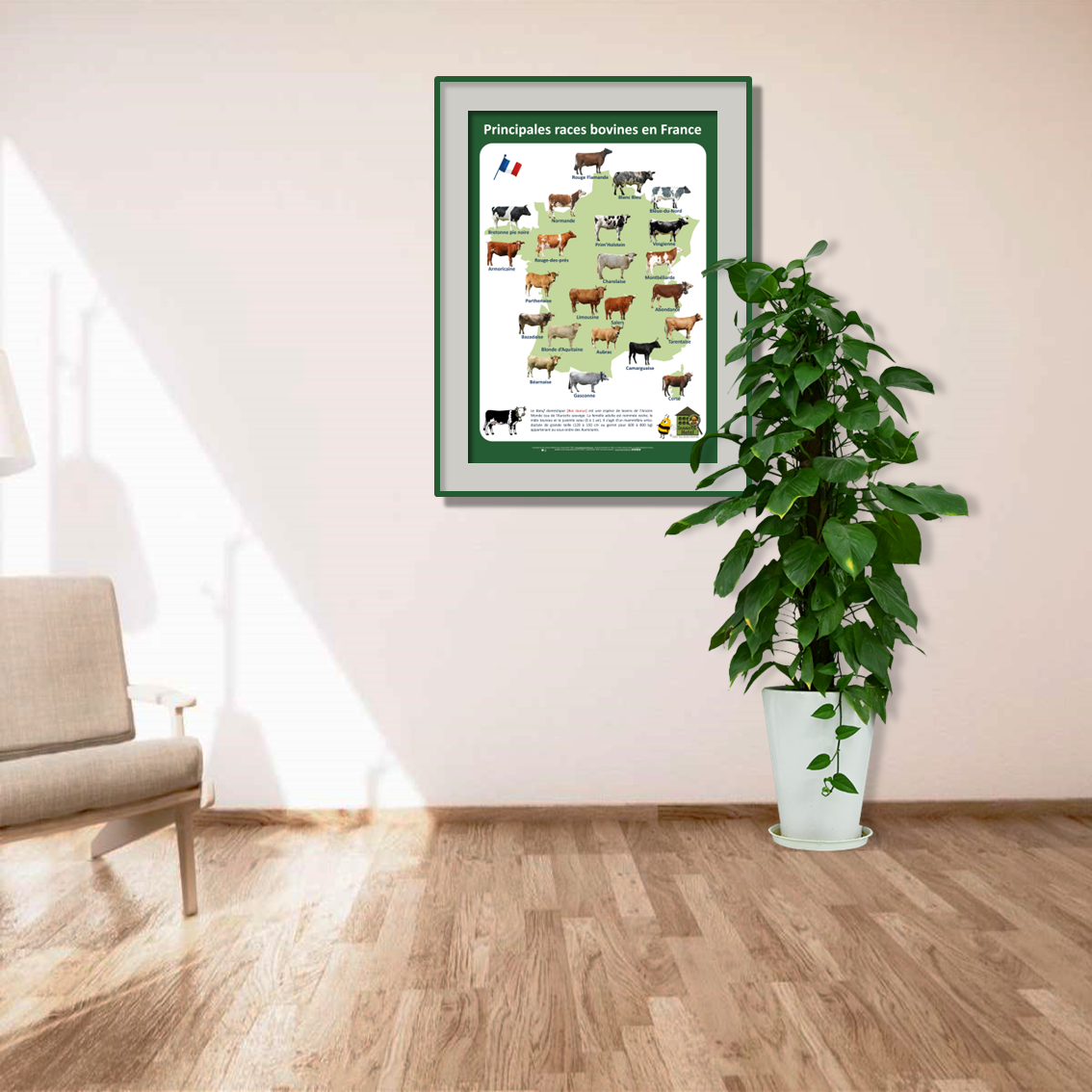 product_image_642502