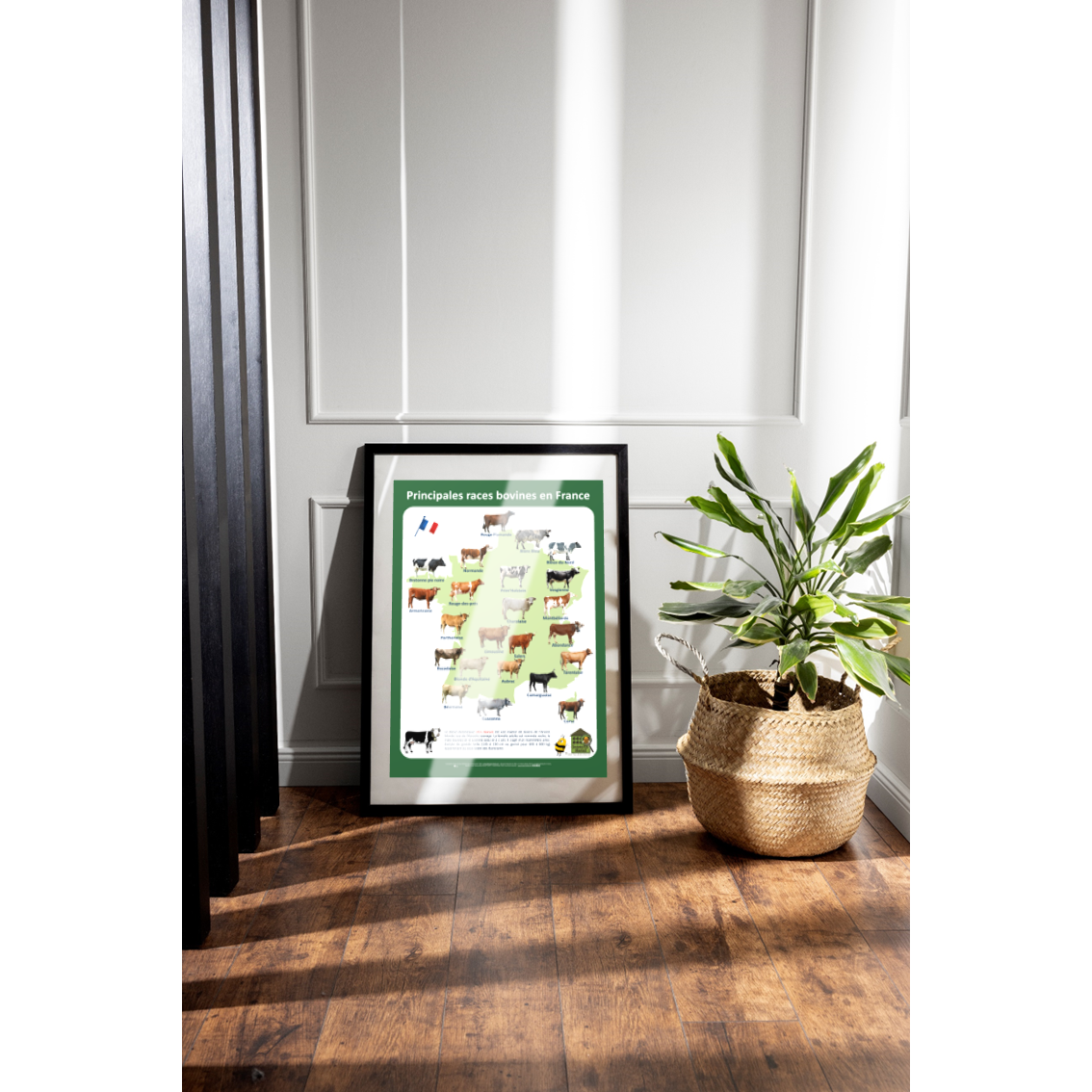 product_image_717989