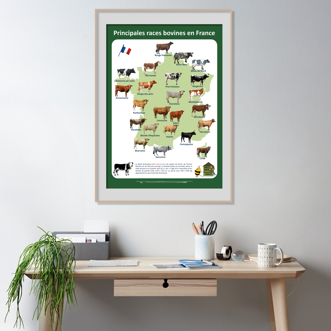 product_image_995982