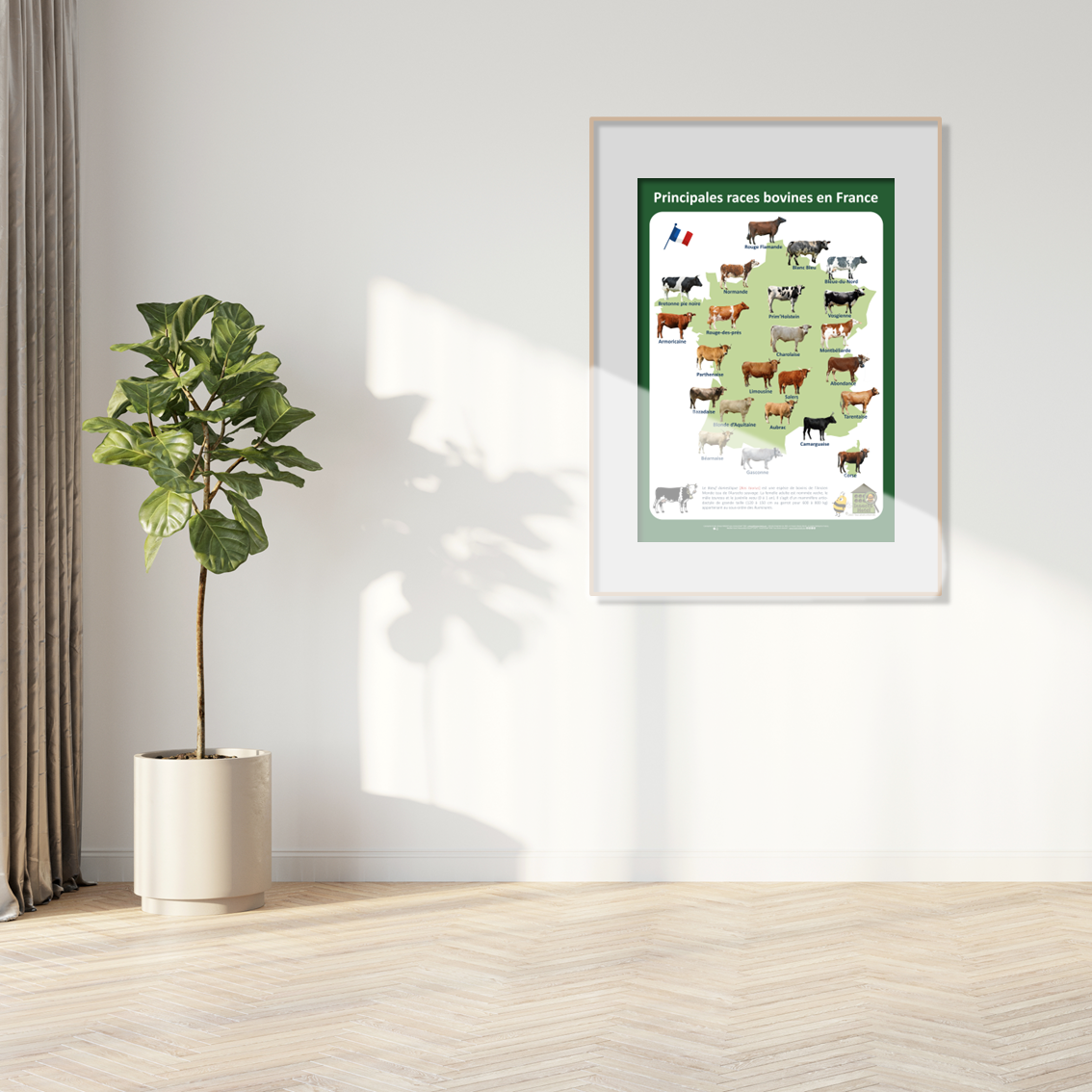 product_image_405187