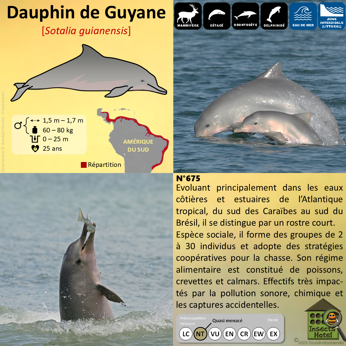 product_image_282223