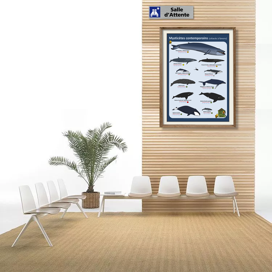 product_image_212265