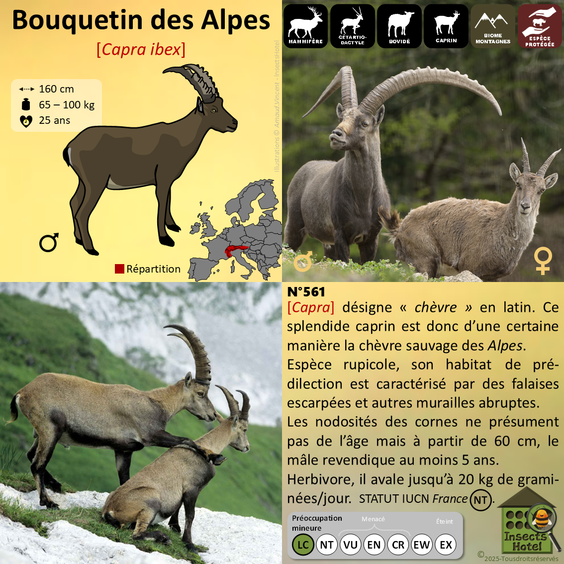 product_image_638162