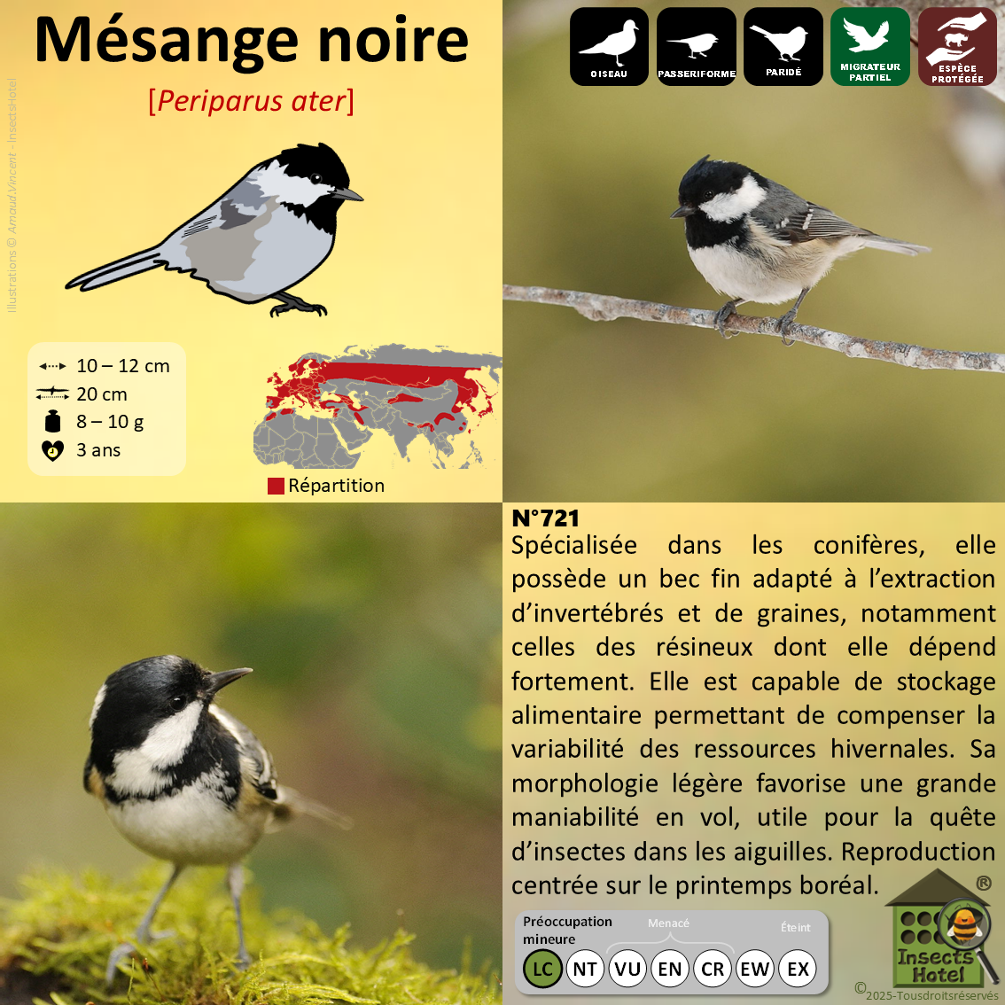 product_image_297149