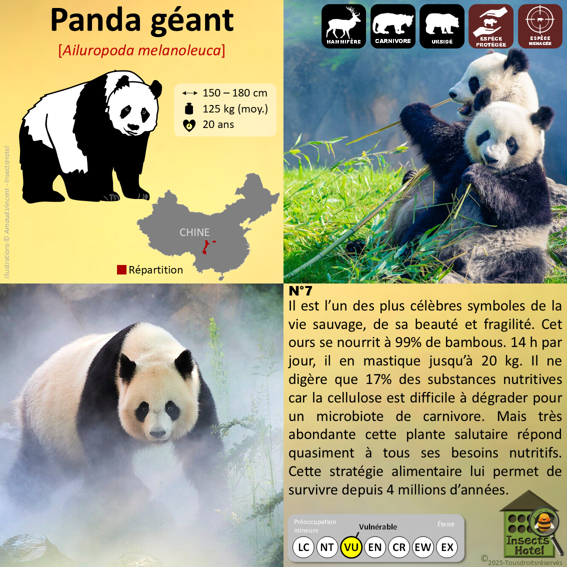 product_image_641978