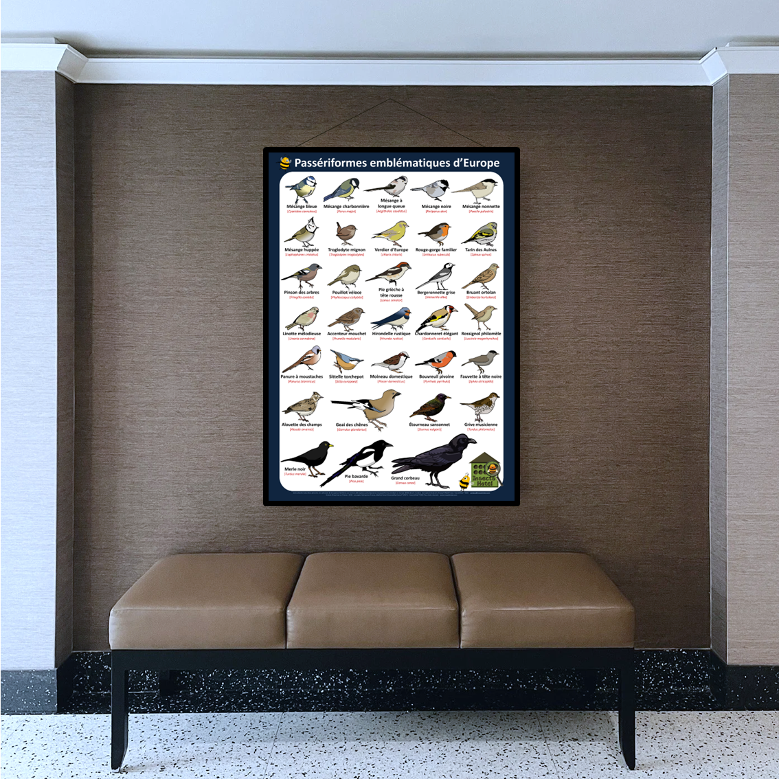 product_image_899526