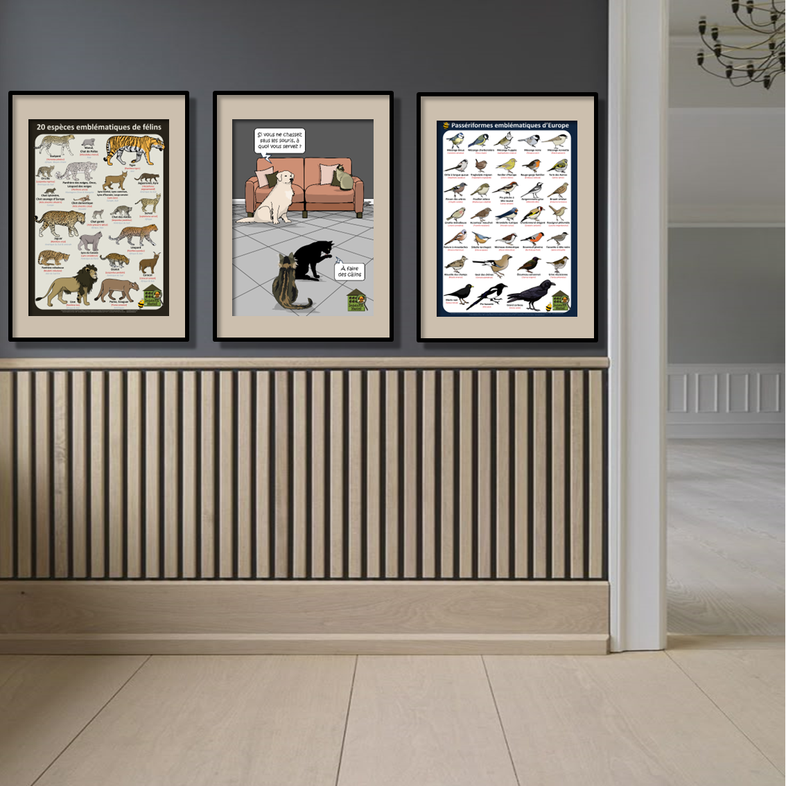 product_image_810782