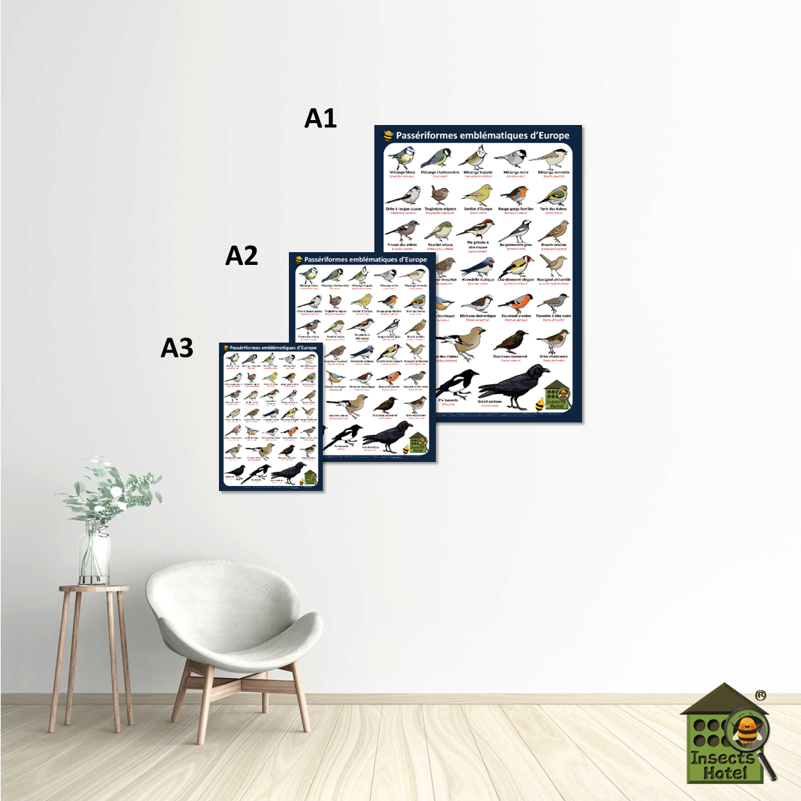 Image back Poster - Passériformes emblématiques d'Europe (Passereaux)