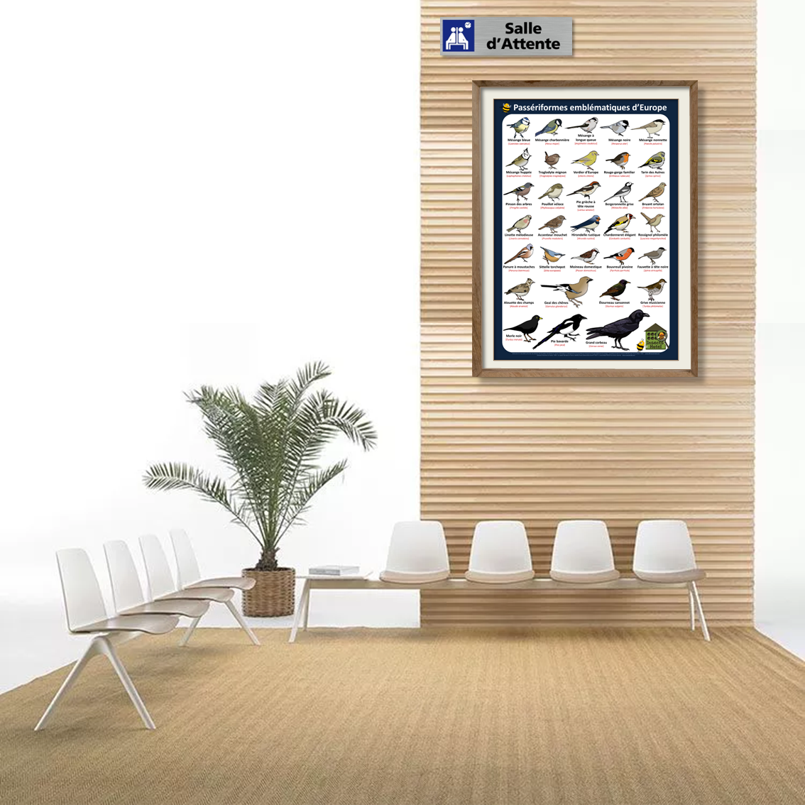 product_image_538709