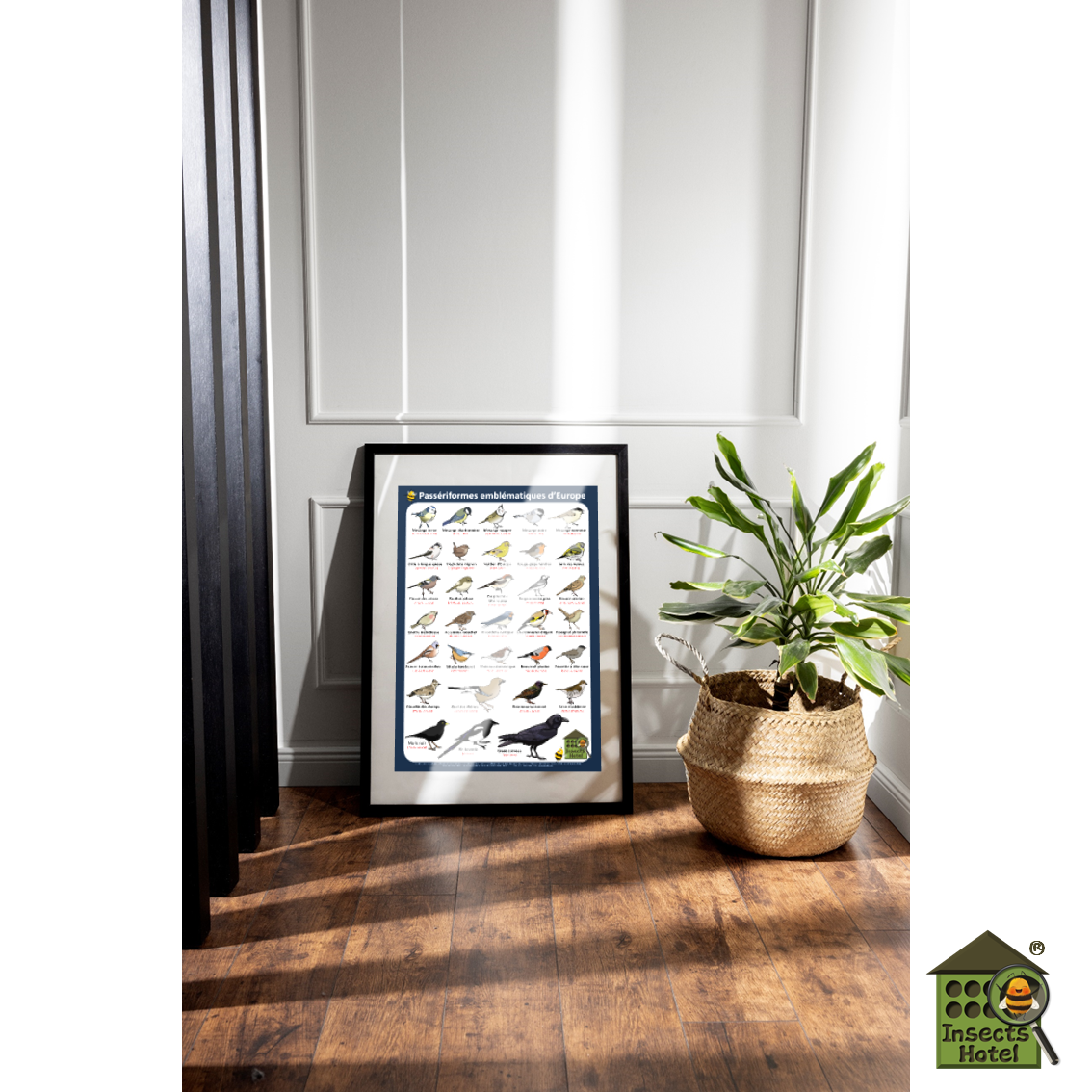 product_image_301146