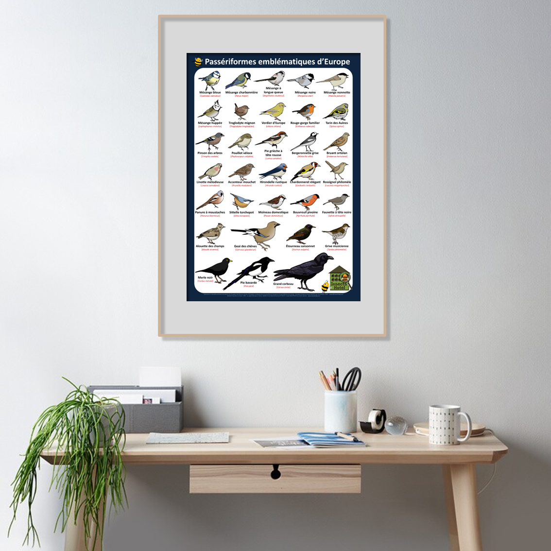 product_image_439095