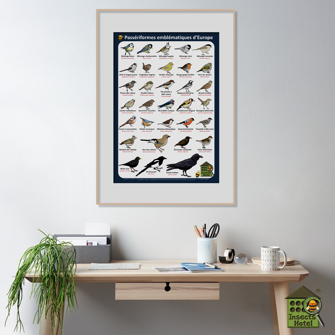 product_image_352868