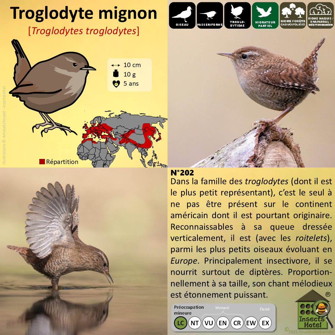 product_image_137625