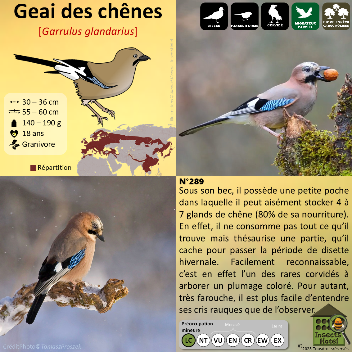 product_image_601930