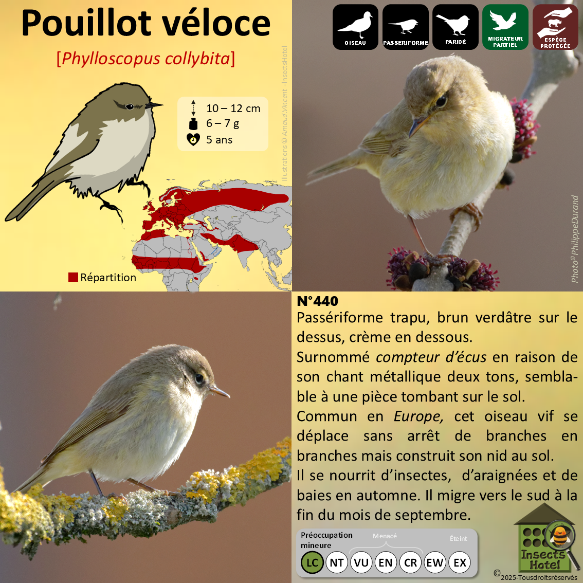 product_image_756703