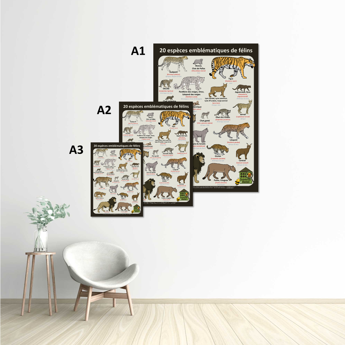 Image back Poster - Félins, 20 espèces emblématiques