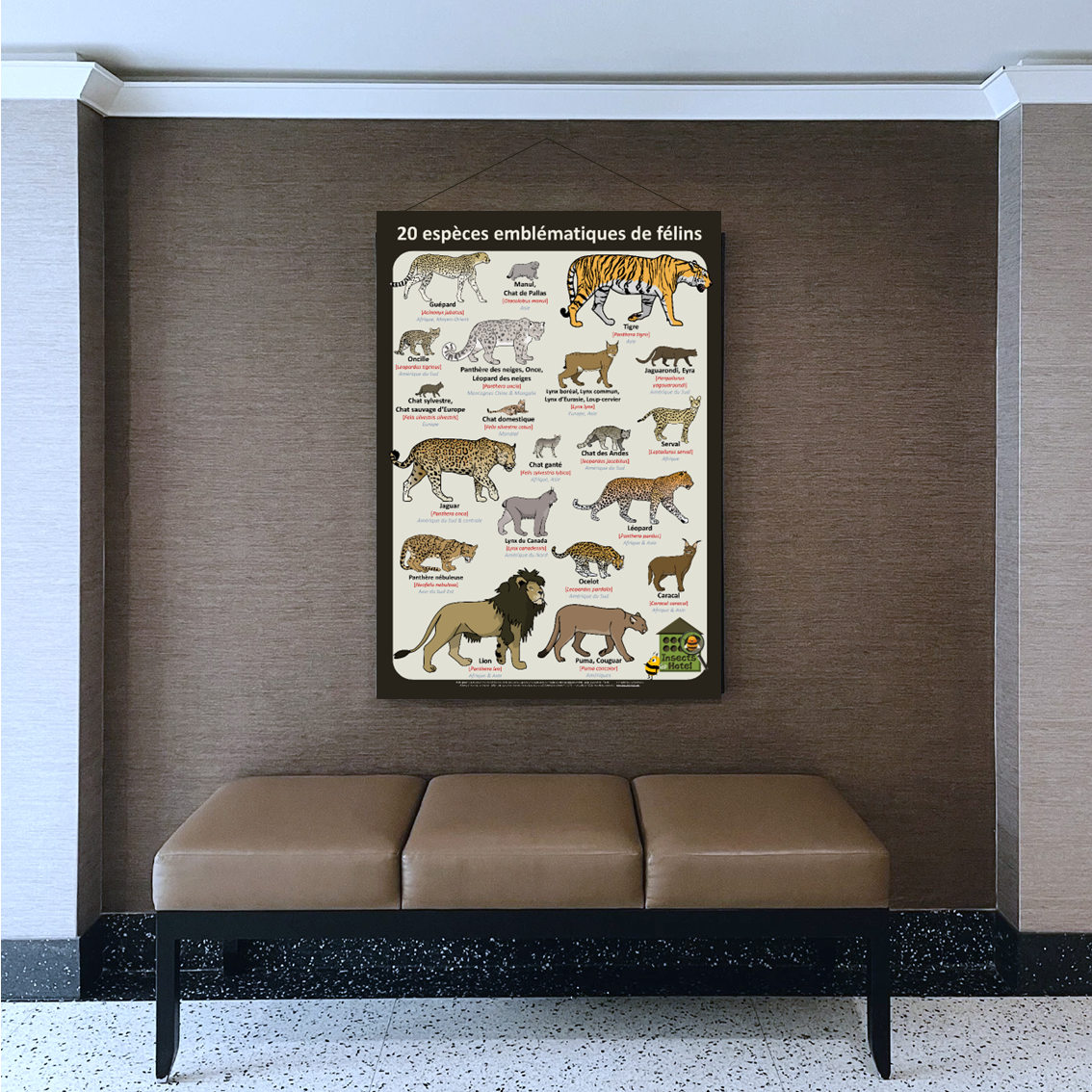 product_image_404131