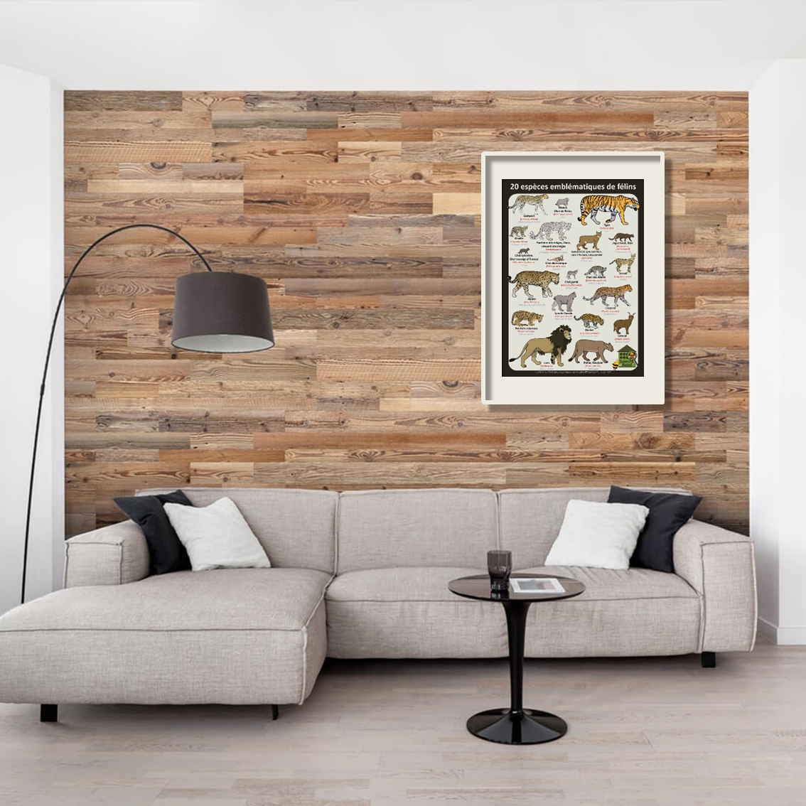 product_image_807236