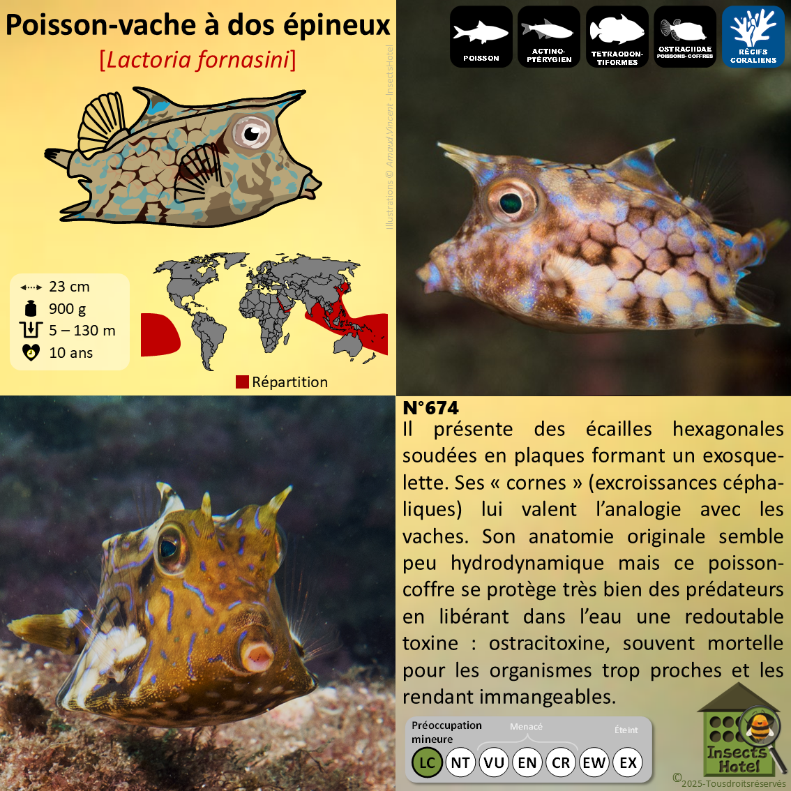 product_image_157971