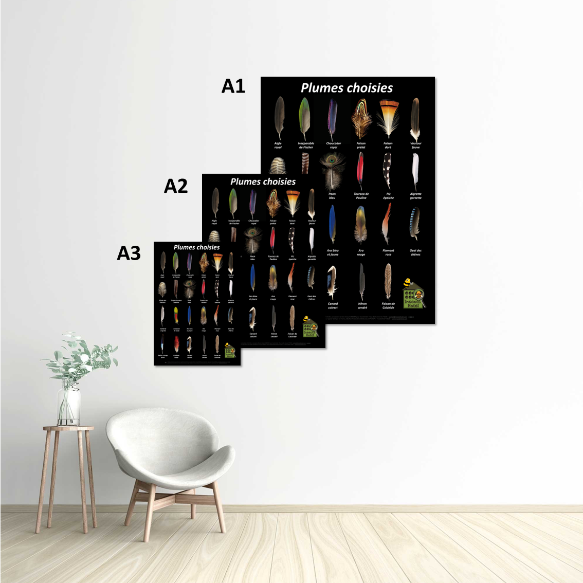Image back Poster - Plumes choisies