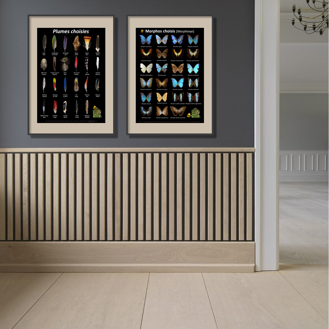 product_image_628141