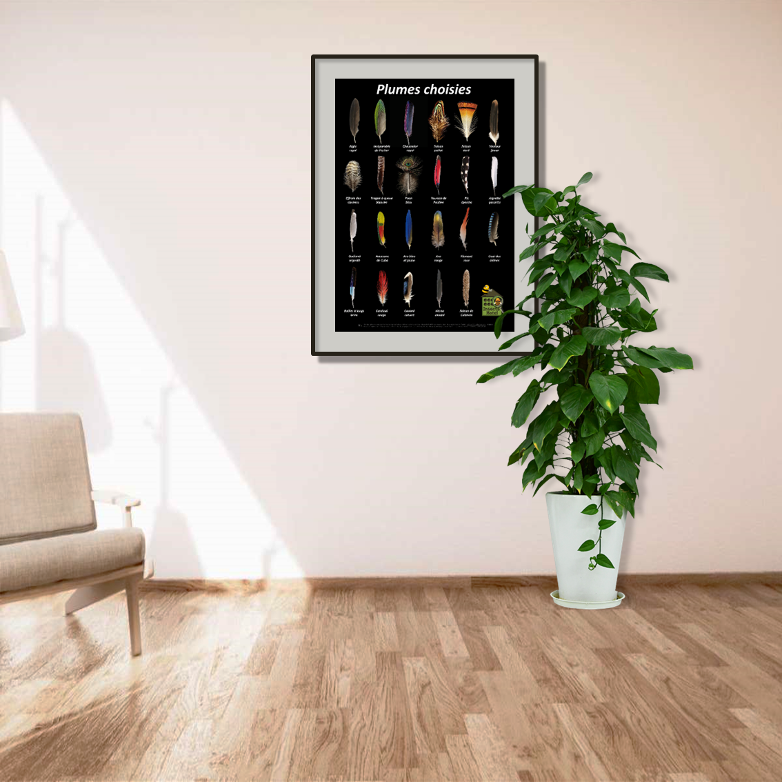 product_image_771753