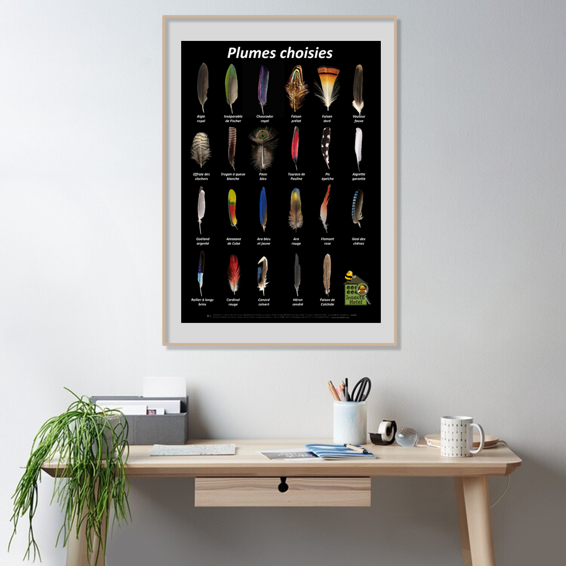 product_image_407353