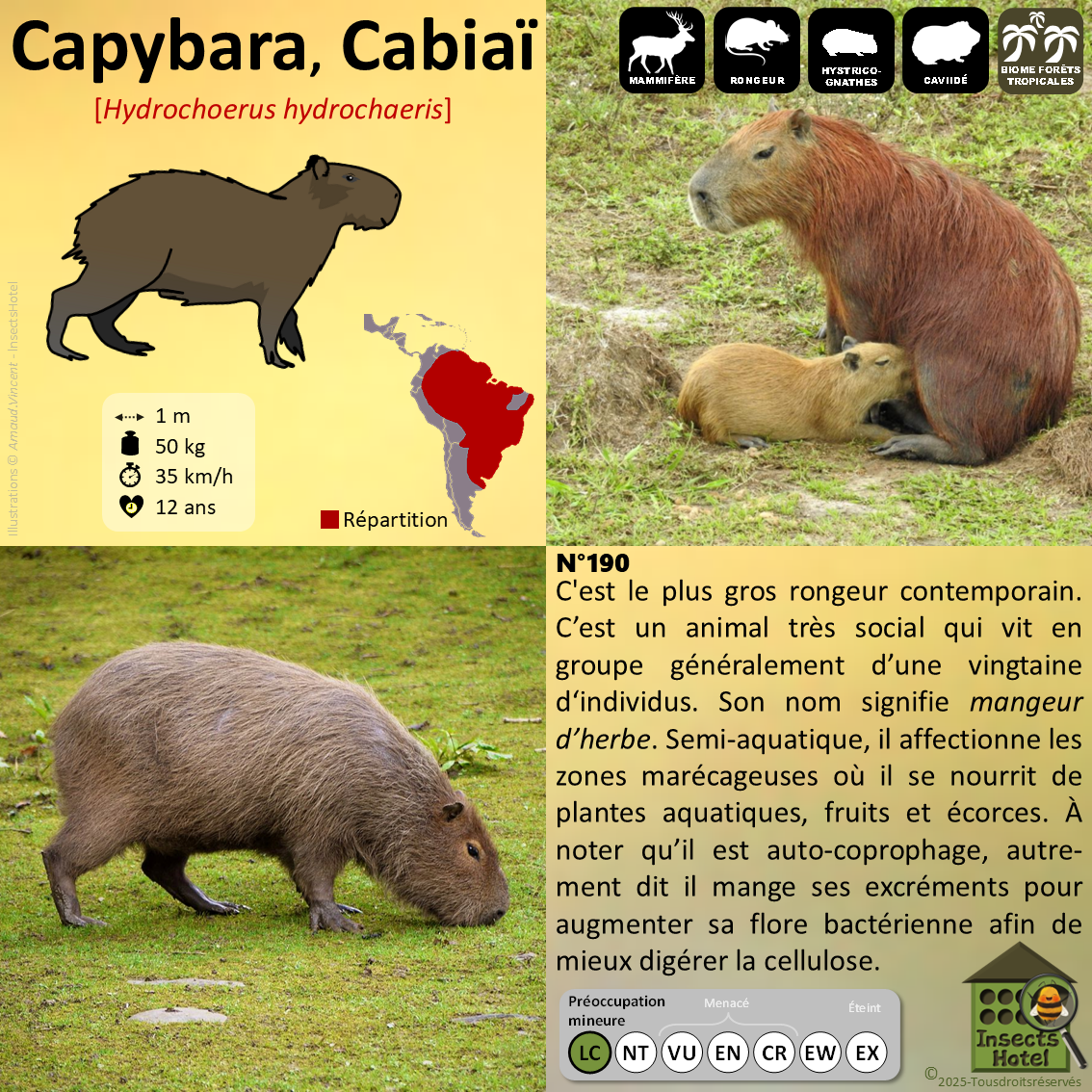 product_image_805388