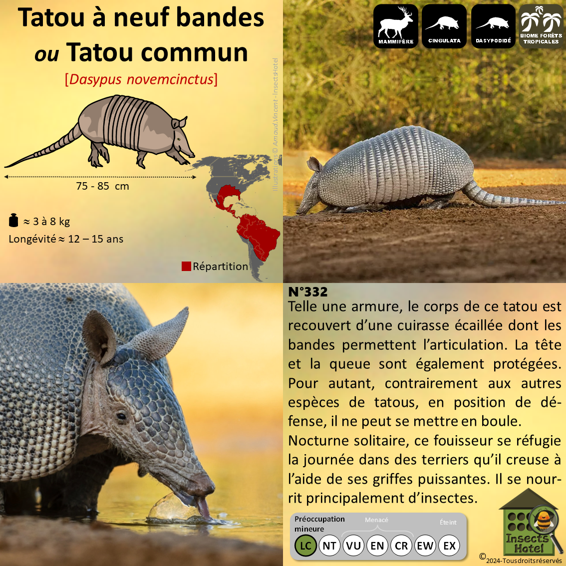 product_image_537474