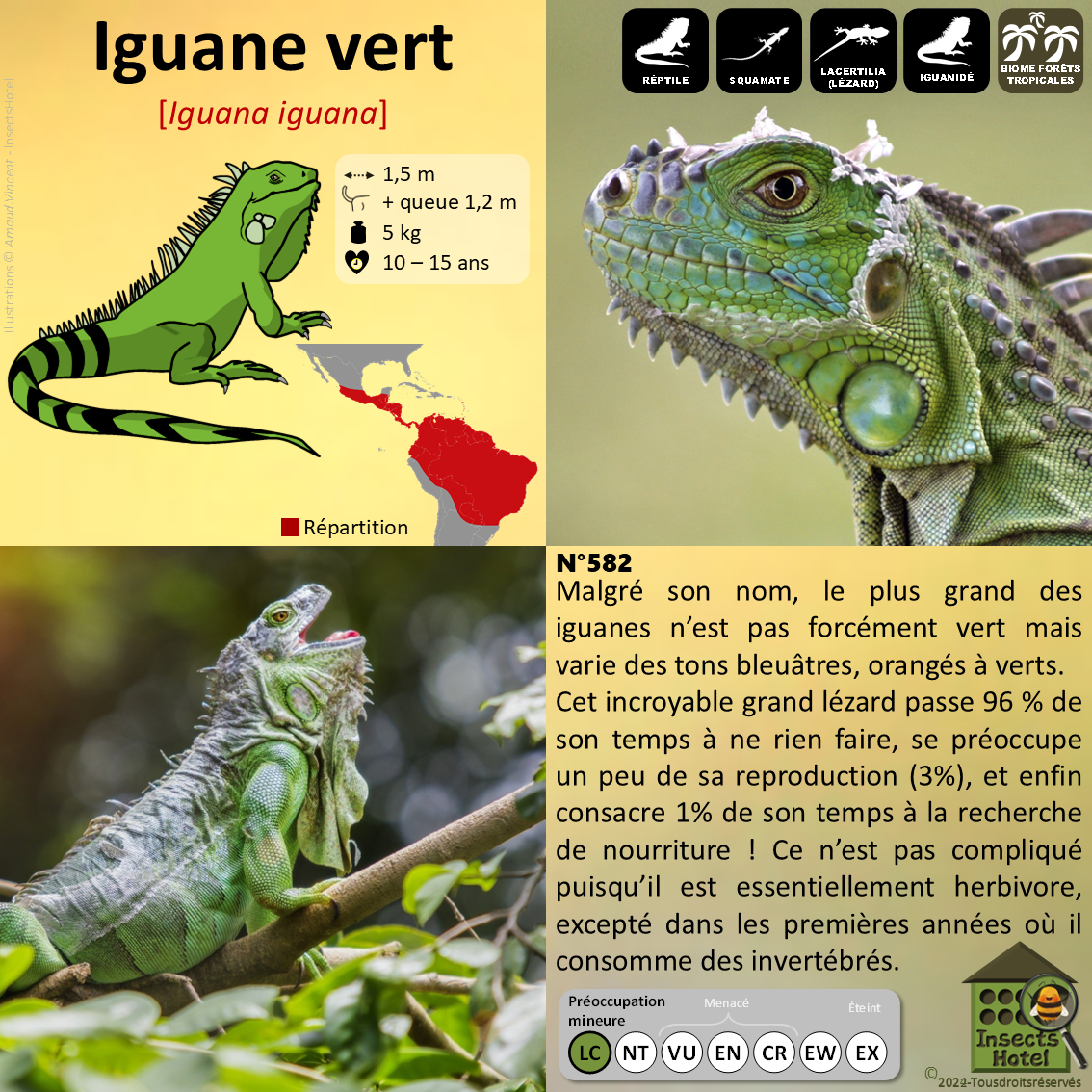 product_image_870080