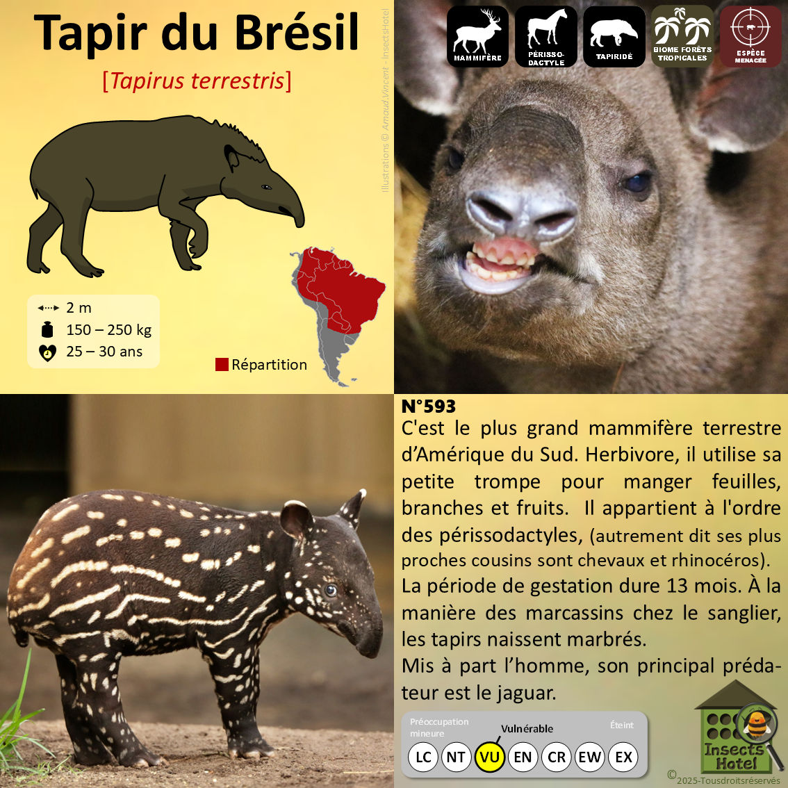 product_image_819461