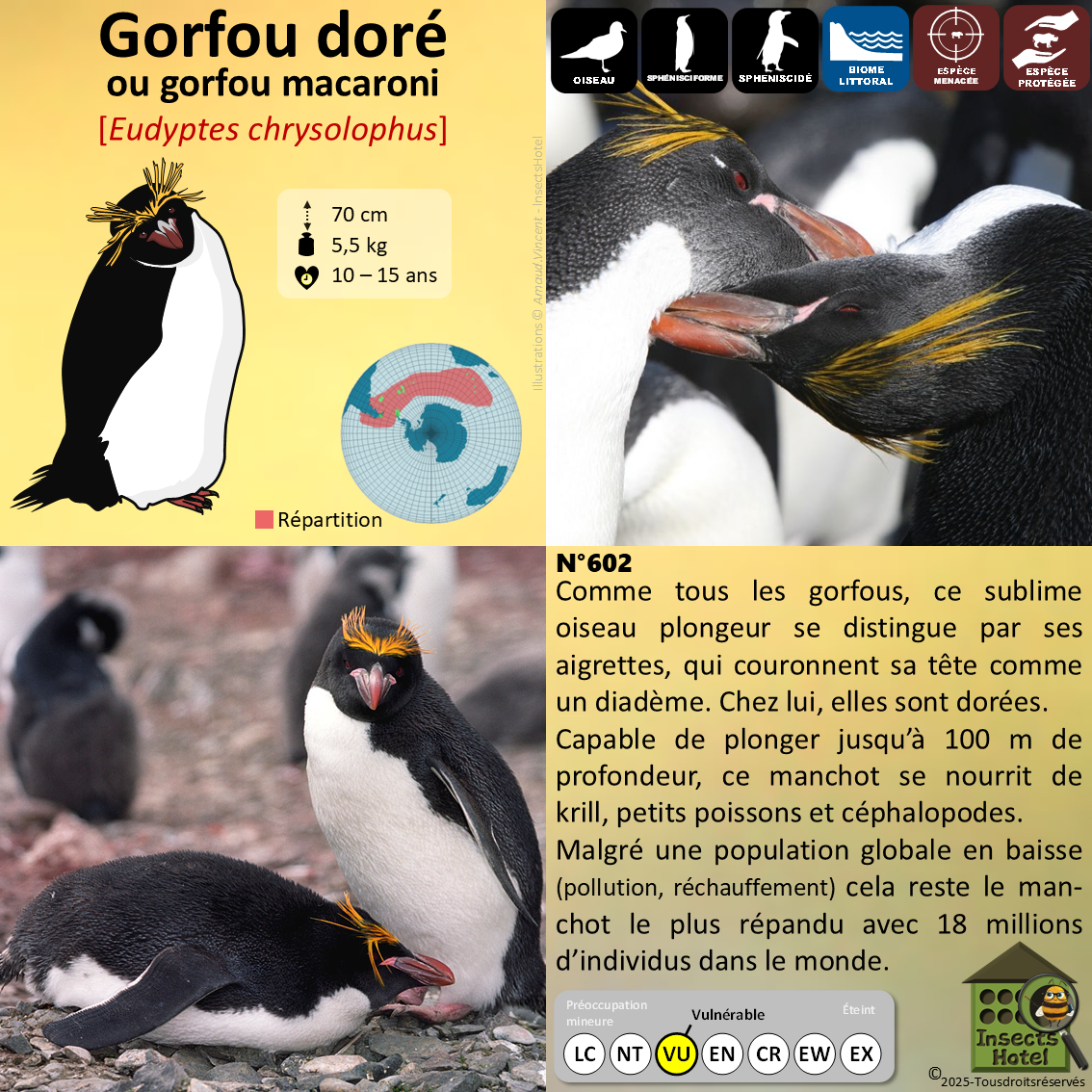 product_image_533358