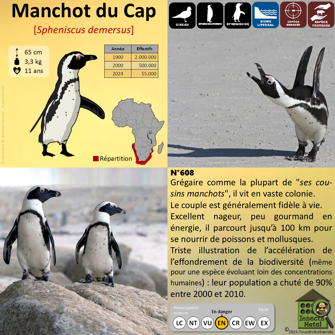 product_image_808873