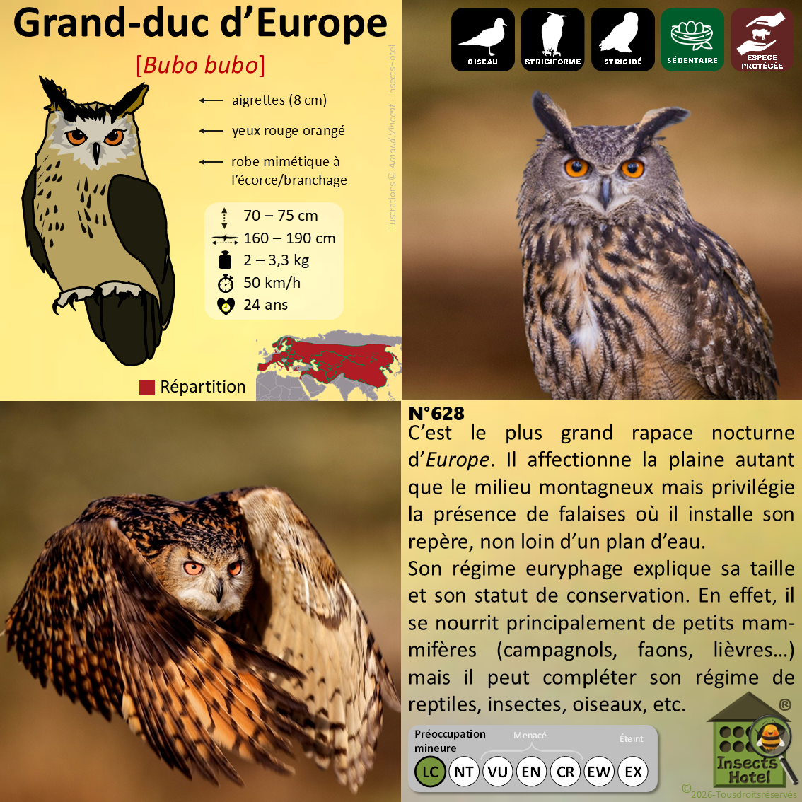 product_image_180387