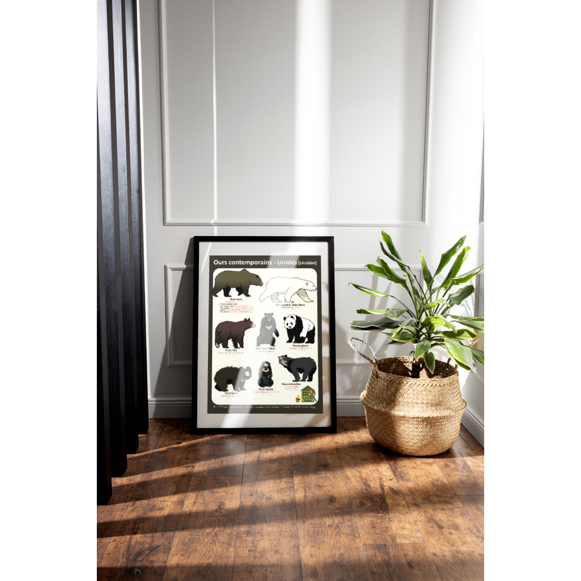 product_image_420957