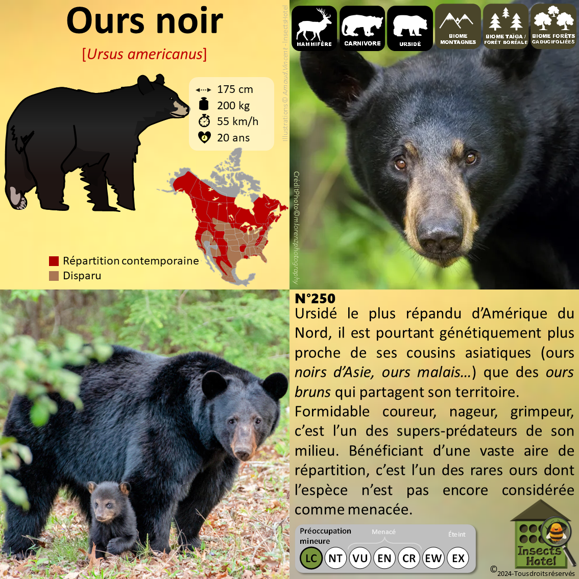 product_image_271157