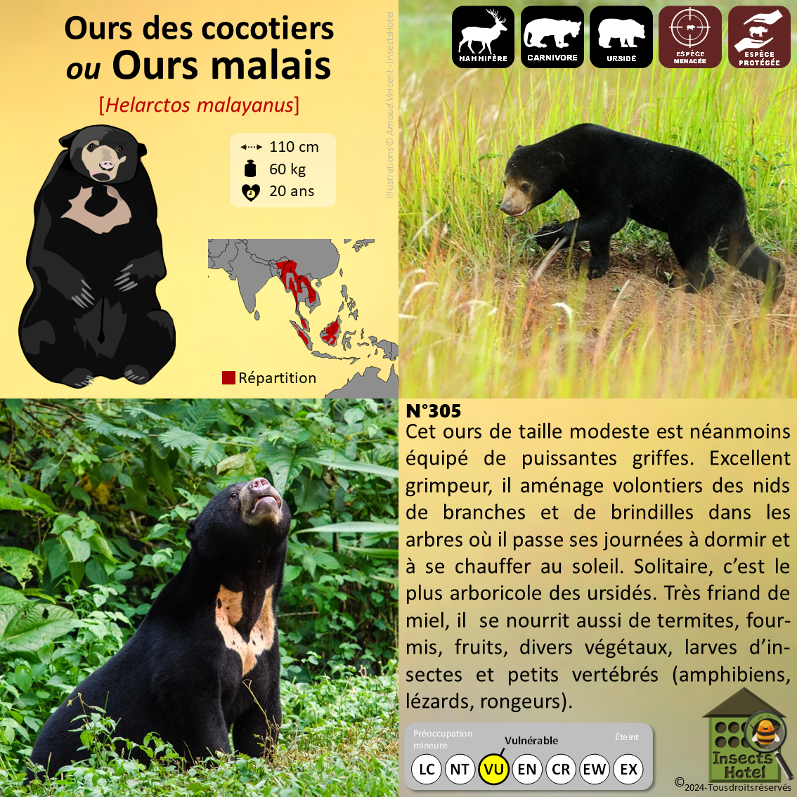 product_image_213122