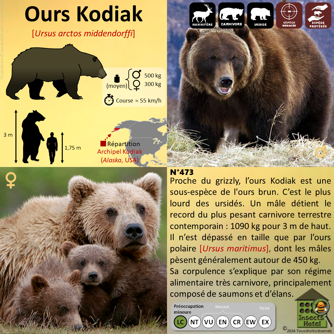 product_image_375397