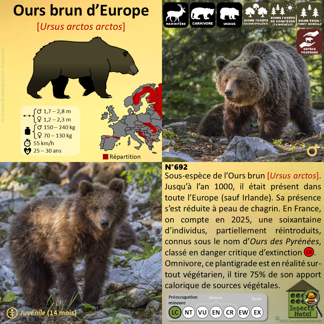 product_image_620400