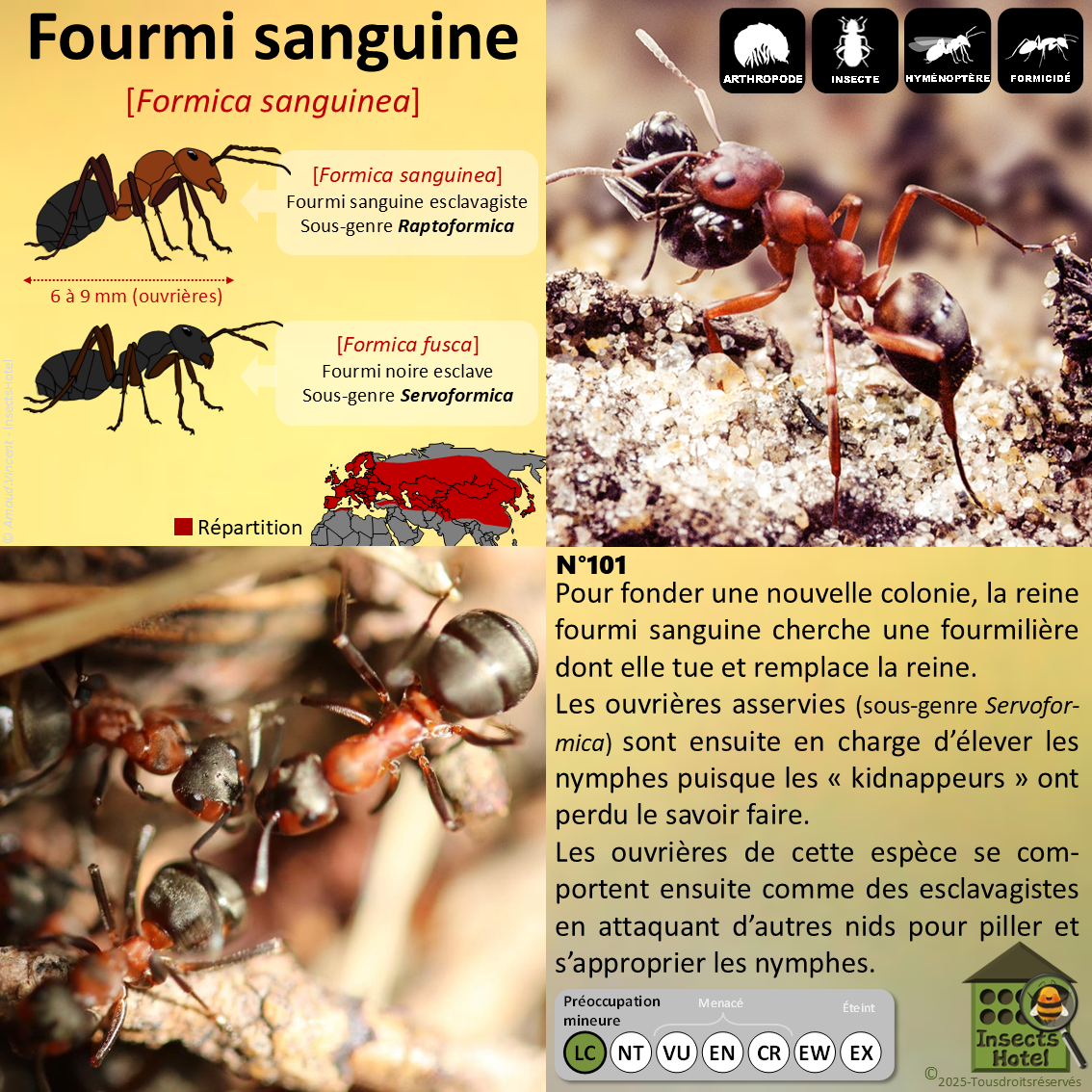 product_image_787865